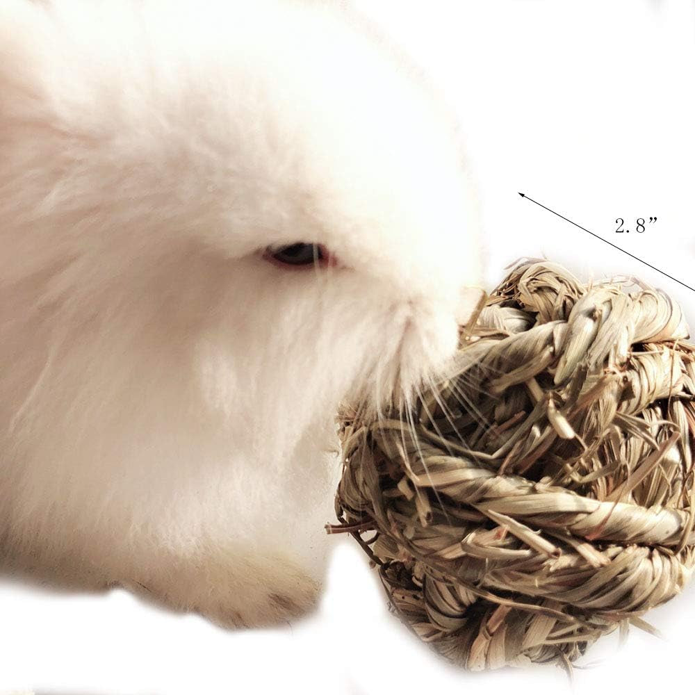 Timothy Grass Chew Ball for Small Animals - Engaging Activity and Dental Health Toys for Rabbits, Hamsters, Guinea Pigs, and Gerbils