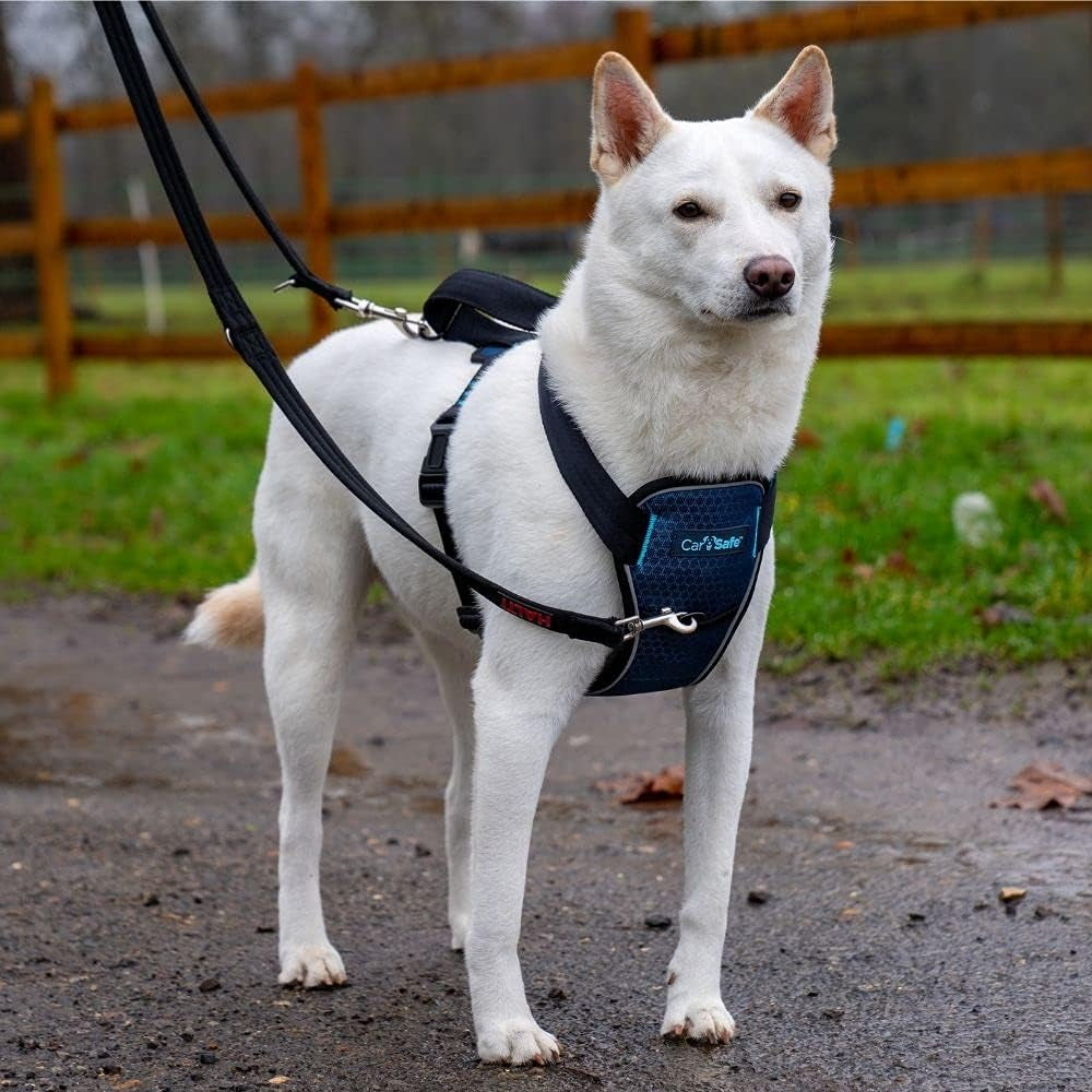 Crash Tested Dog Safety Harness | Size M | Crash Tested to 32Kg/70Lbs, Safely Secure Dog in the Car, Comfortable and Padded Design, for Toy, Small, Medium & Large Dogs