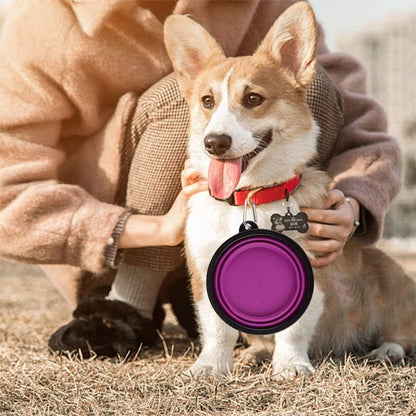 Large Collapsible Dog Bowls, 34Oz Travel Water Food Bowls Portable Foldable Collapse Dishes with Carabiner Clip, 2 Pack (Purple+Red)
