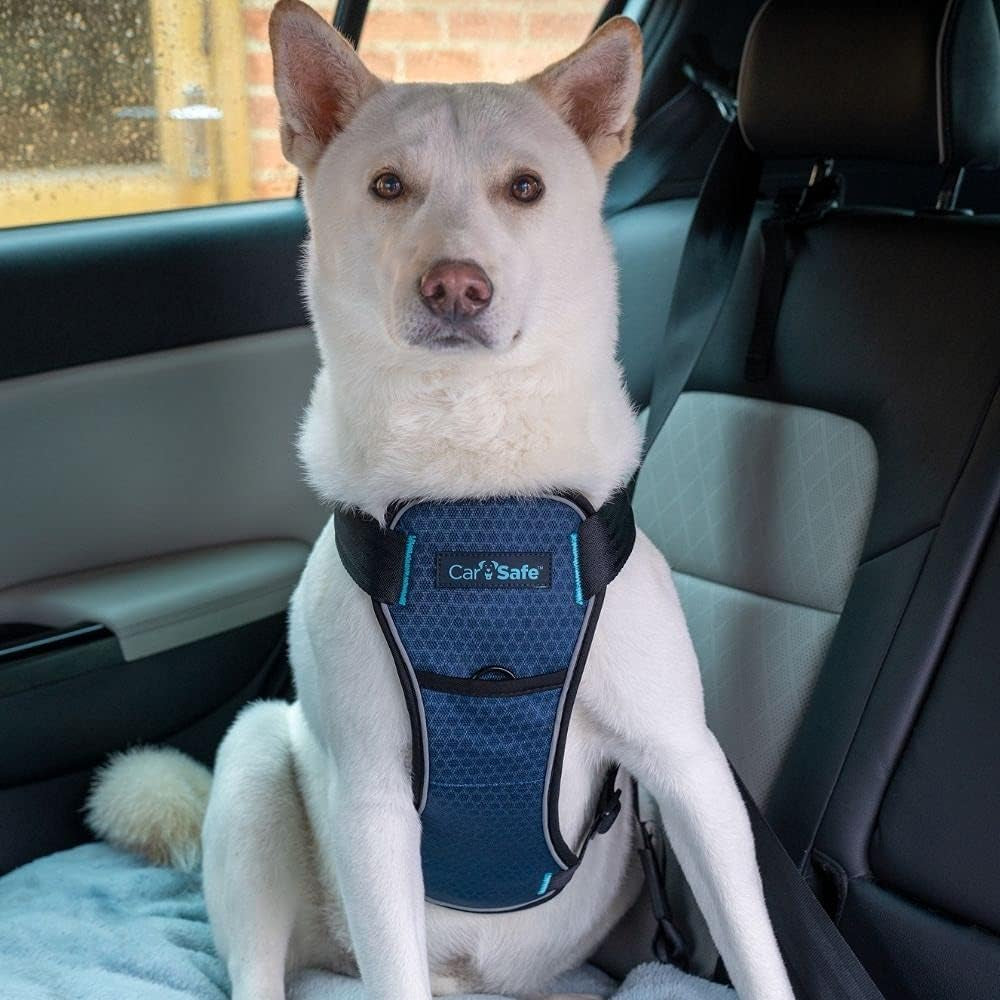Crash Tested Dog Safety Harness | Size M | Crash Tested to 32Kg/70Lbs, Safely Secure Dog in the Car, Comfortable and Padded Design, for Toy, Small, Medium & Large Dogs